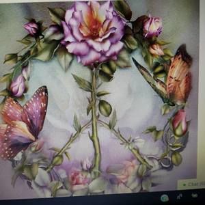 Meet your Posher, Dee